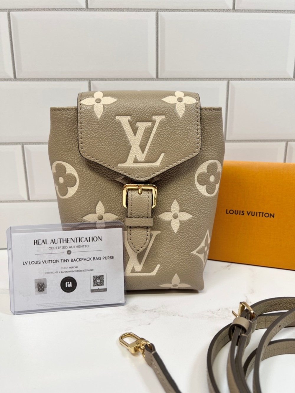 LV Louis Vuitton Tiny Backpack Bag Purse